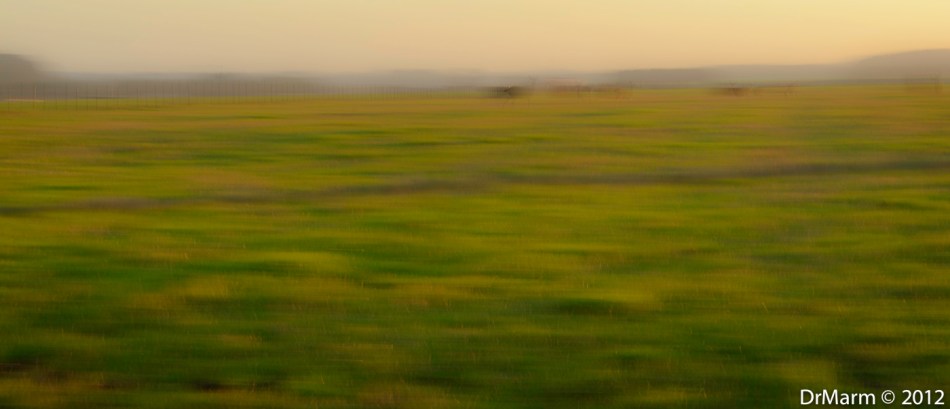 Lighter colors and details