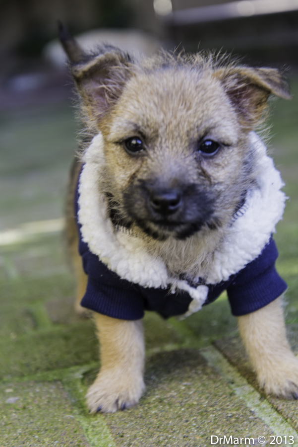 Name then...No, no, Drop It