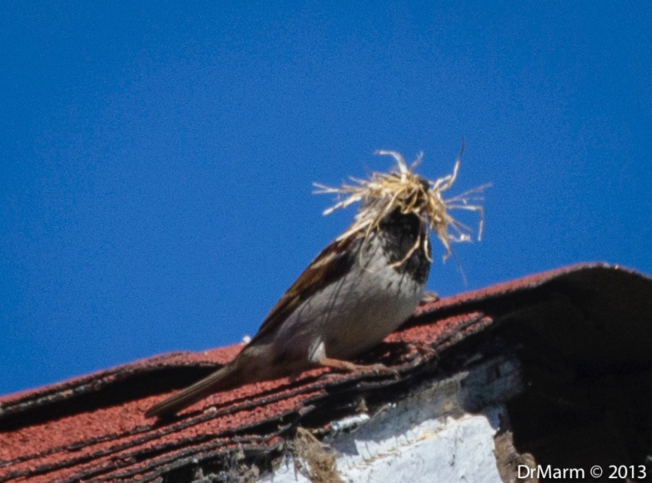 Don't think anymore will fit!