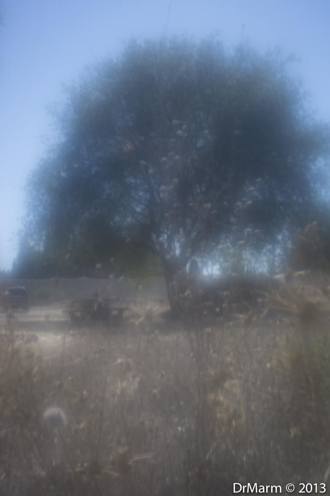 Artistic haze due to Zone Plate optic