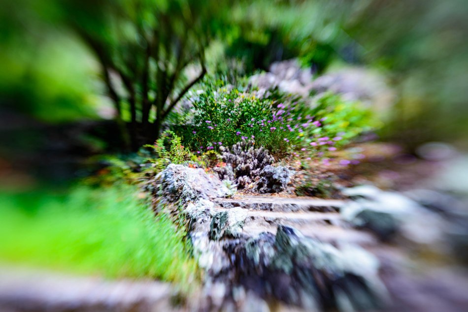 Botanical gardens our Sac Meetup group visited.