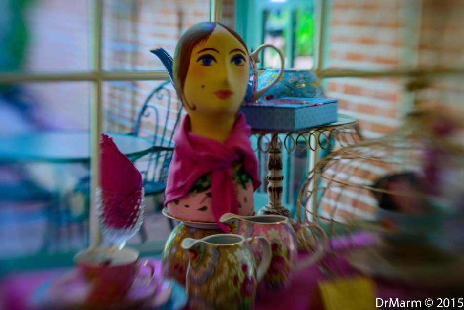 Indoor Display Day 46