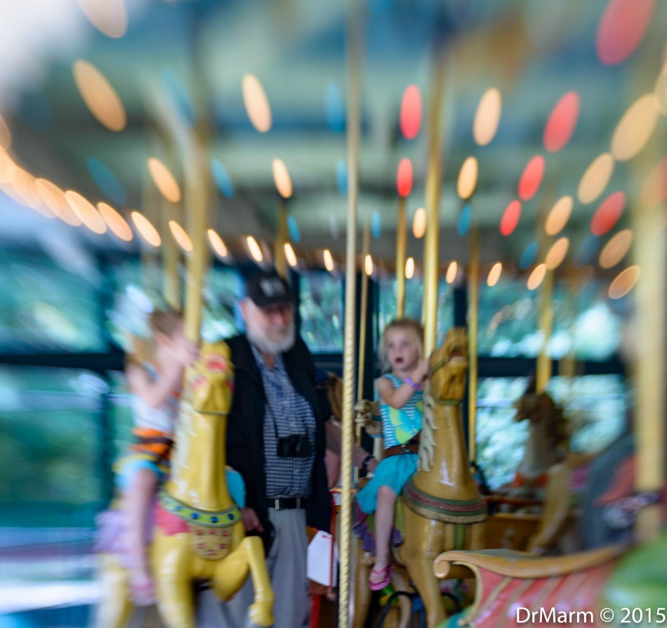 Making Memories Day 53