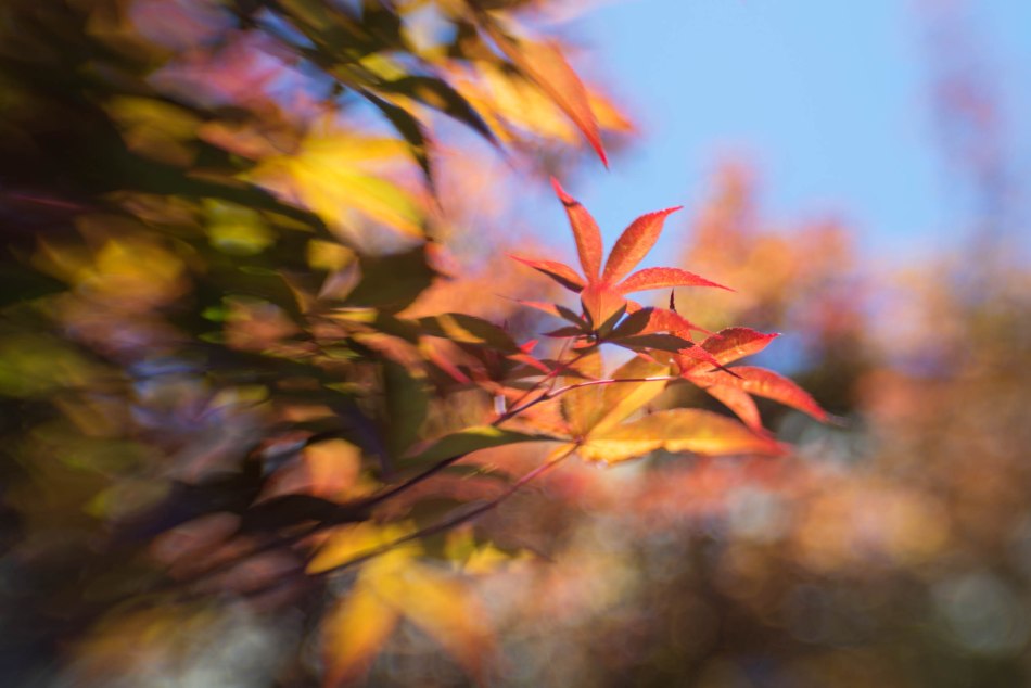 Mid-Day Sun Fun Day 47