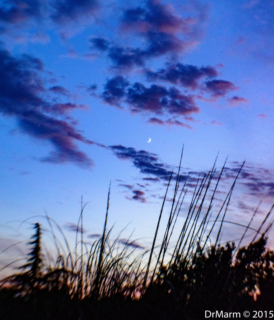 Night time summer views