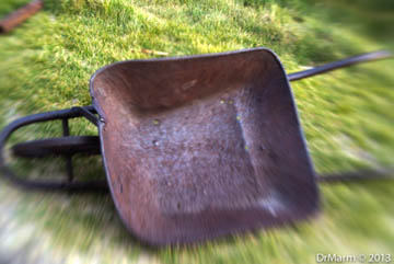 Wheelbarrow Day 70