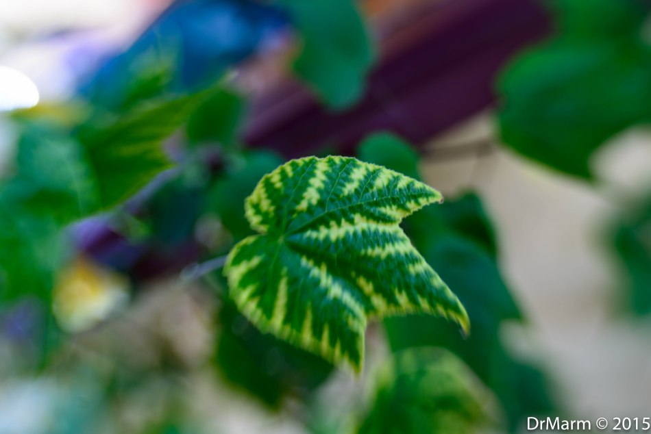 Ahead of Time Day 82