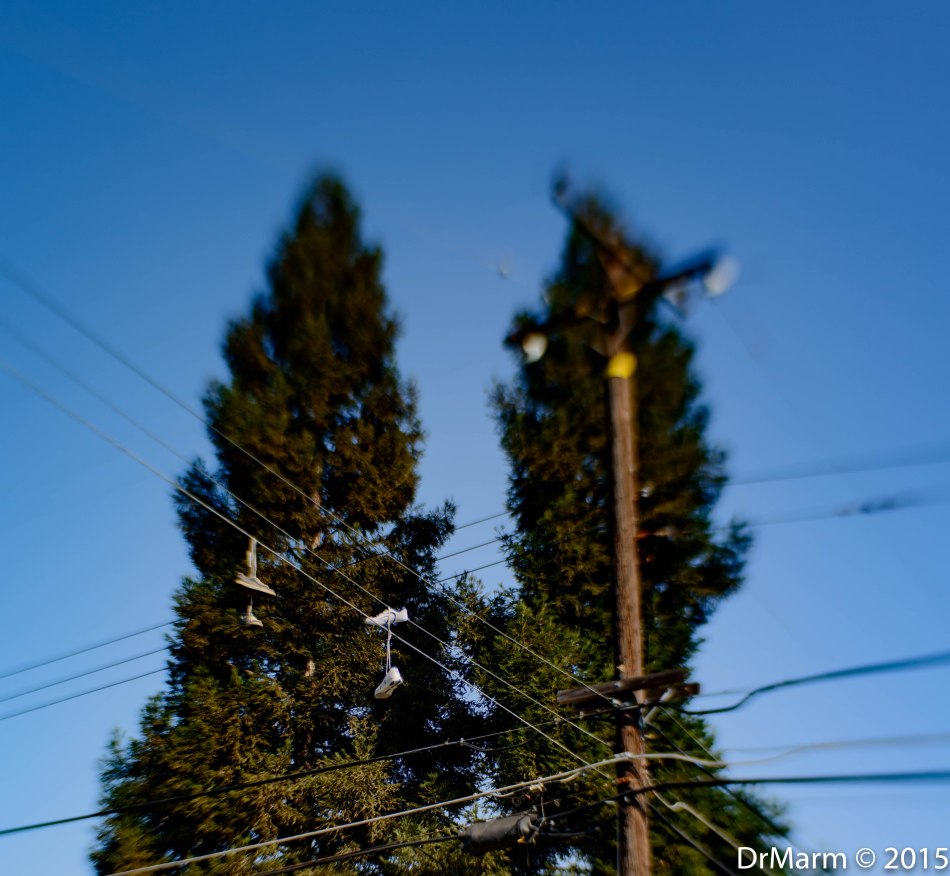 Crossing Intersection Day 81