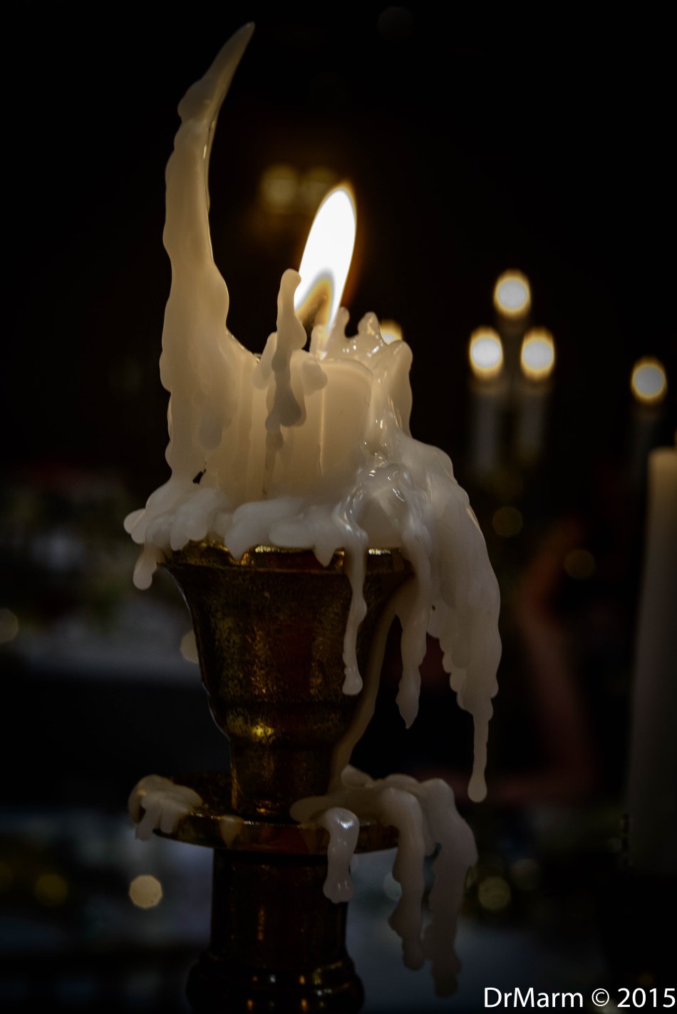 Lady Bathing Day 100