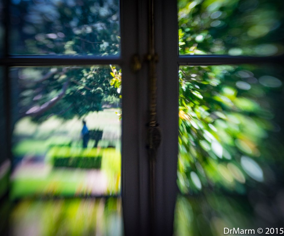 Out the Window Day 73