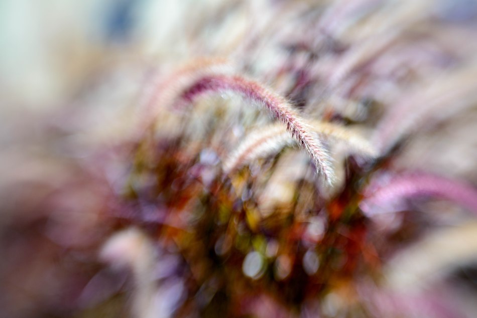 Abstract Fall Colors