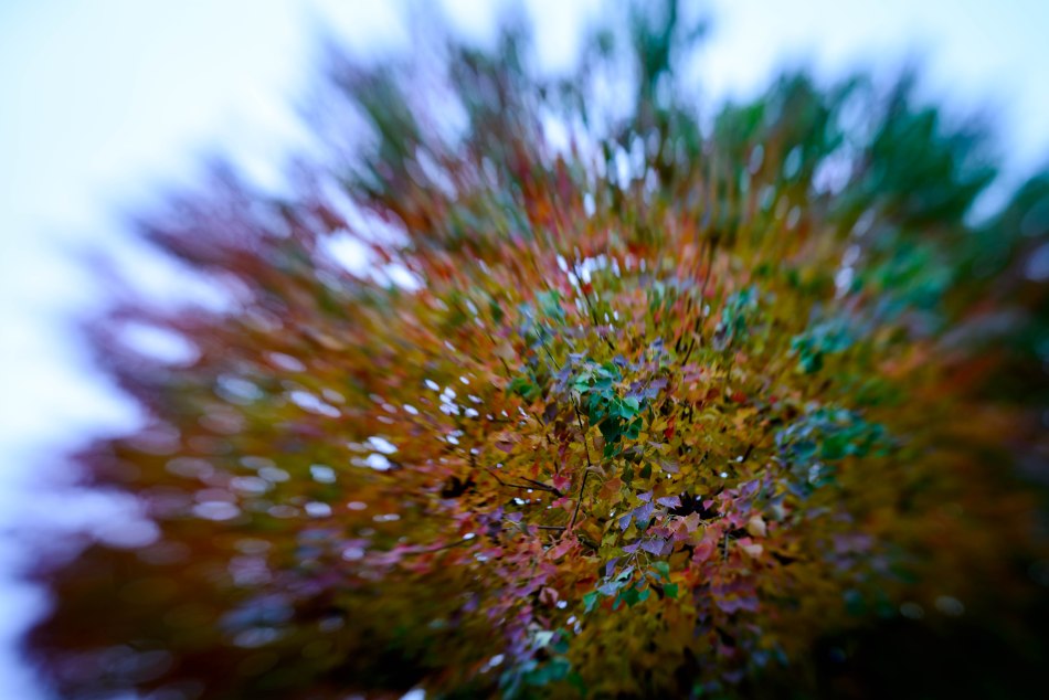 Mosaic Fall Leaf Pattern 3